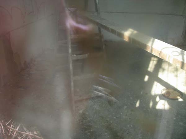 bilder_27_02_2006_137